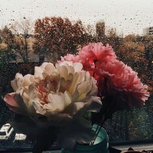 Meet your Posher, Le